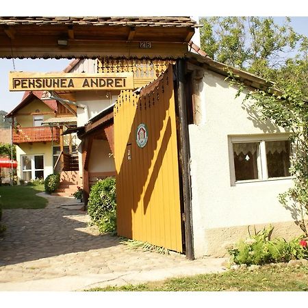 Pensiunea Andrei Sibiel Exterior photo