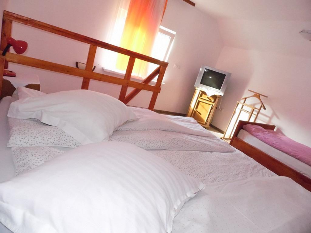 Pensiunea Andrei Sibiel Room photo