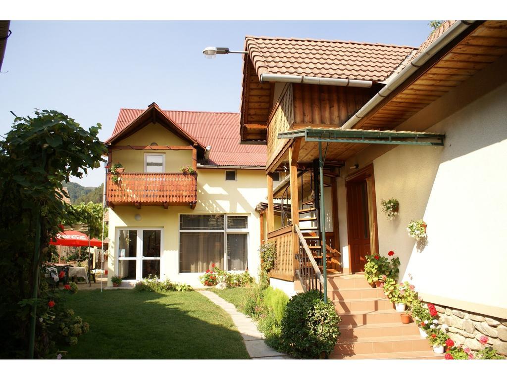 Pensiunea Andrei Sibiel Exterior photo