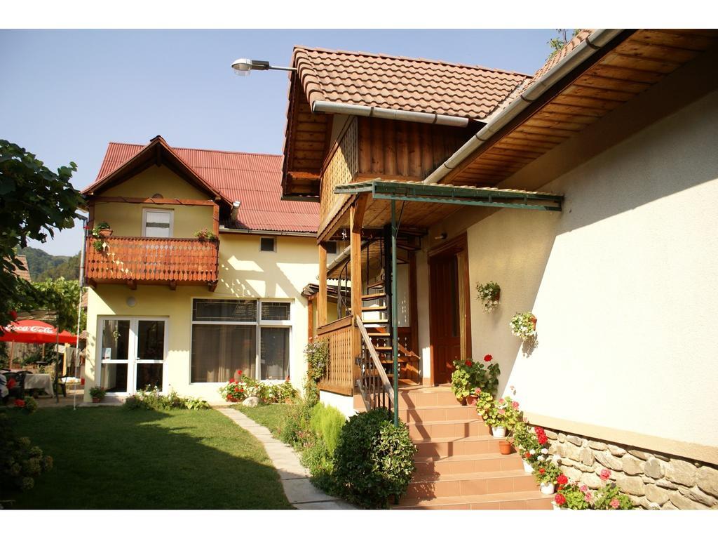 Pensiunea Andrei Sibiel Exterior photo